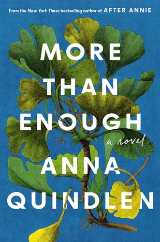 More Than Enough A Novel