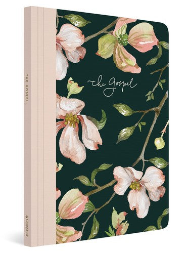 ESV Prayer Journal: 30 Days on the Gospel (Paperback)