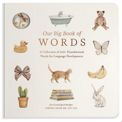 Our Big Book of First Words A Collection of 100+ Foundational Words for Language Development