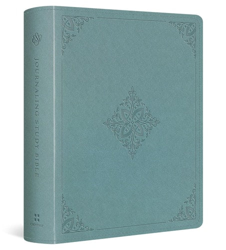 ESV Journaling Study Bible (TruTone Over Board, Paris Sky, Fleur-De-lis Design)