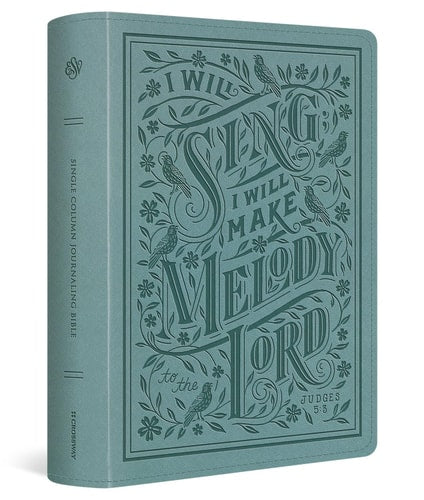 ESV Single Column Journaling Bible, Large Print (TruTone®, Paris Sky, Judges 5:3 Design)