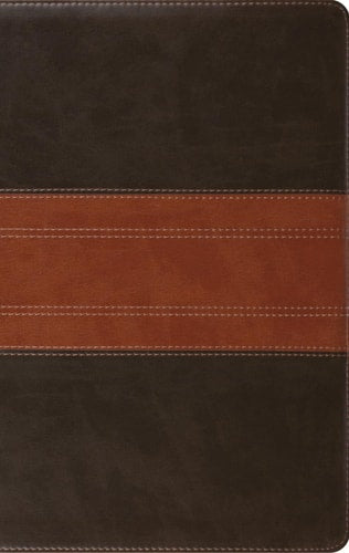 ESV Giant Print Personal Size Bible, Red Letter, Thumb Indexed (Trutone, Forest/Tan, Trail Design)