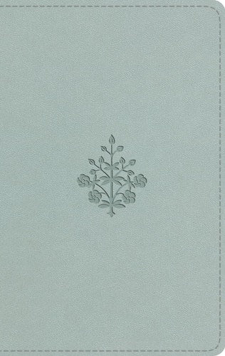 ESV Large Print Value Thinline Bible (TruTone, River Stone, Branch Design)