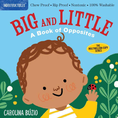 Indestructibles: Big and little: a book of opposites