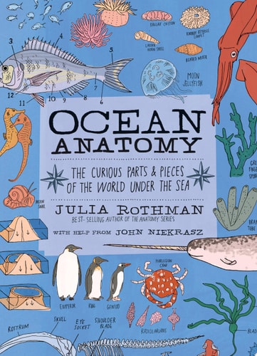 Ocean Anatomy The Curious Parts & Pieces of the World under the Sea