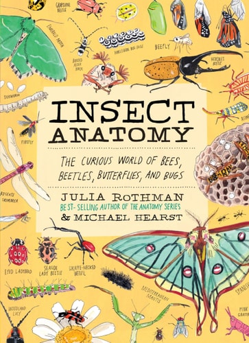 Insect Anatomy The Curious World of Bees, Beetles, Butterflies, and Bugs