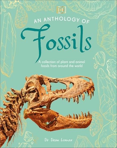 An Anthology of Fossils A Collection of Plant and Animal Fossils from Around the World