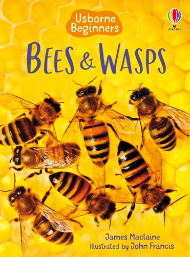 Bees and Wasps (Beginners)