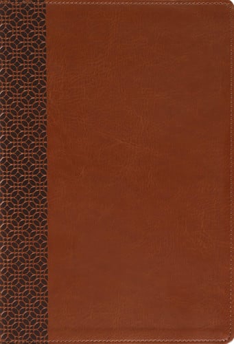 Amplified Holy Bible, Large Print, Leathersoft, Brown: Captures the Full Meaning Behind the Original Greek and Hebrew
