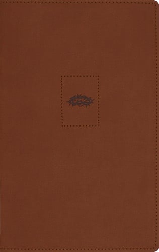 NIV, Heritage Bible, Page Edge Art Edition, Leathersoft, Brown, Red Letter, Comfort Print