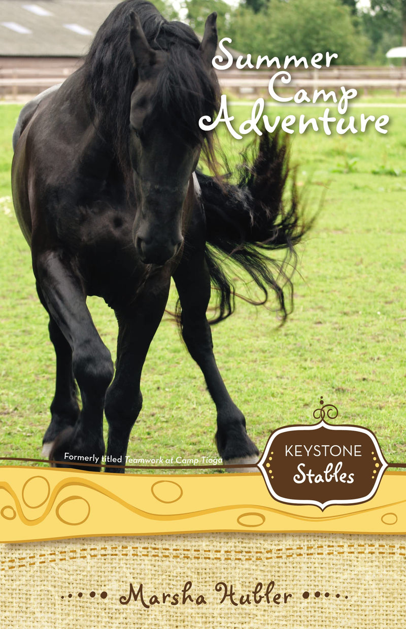 Summer Camp Adventure (4) (Keystone Stables)