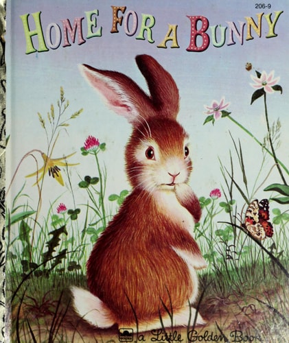 Home for a Bunny A Classic Bunny Book for Kids