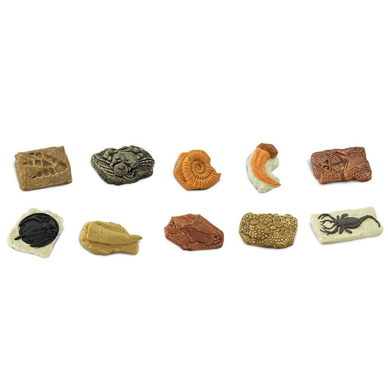 Ancient Fossils TOOB®