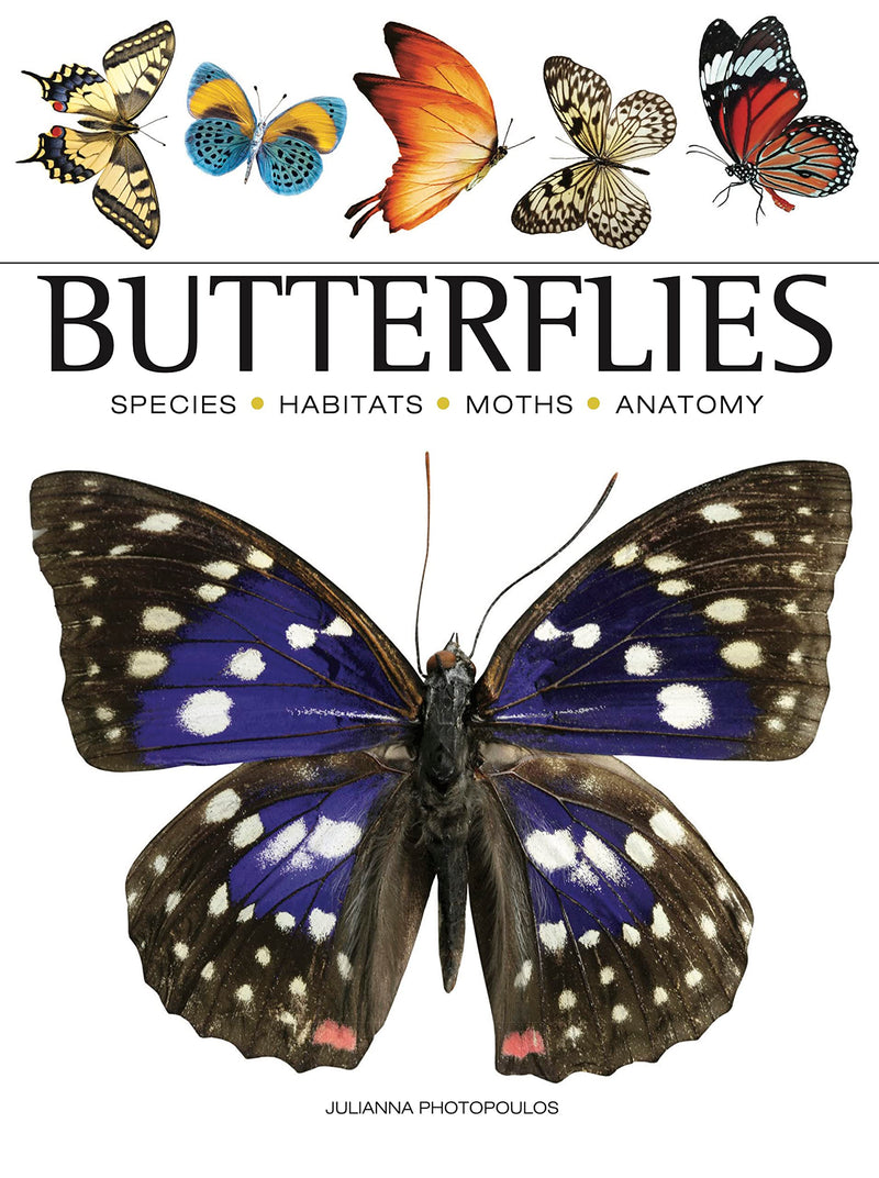 Butterflies (Mini Encyclopedia)