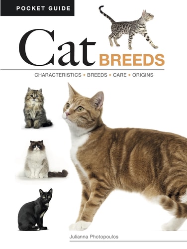 Cat Breeds Characteristics * Breeds * Care * Origins