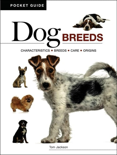 Dog Breeds Characteristics * Breeds * Care * Origins