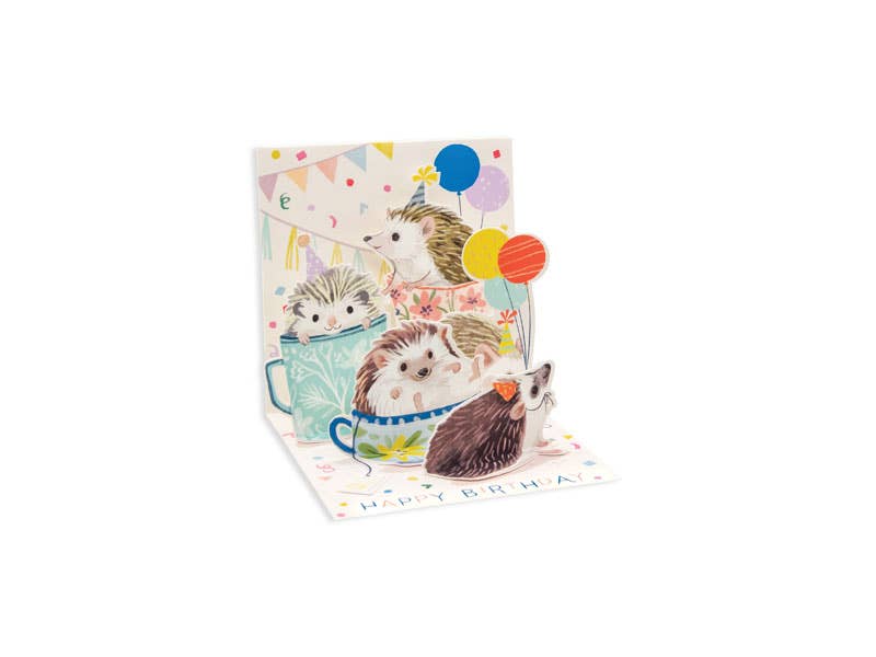 Hedgehog Pop-up Birthday Card