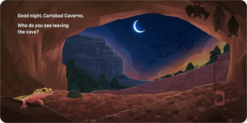 Good Night, National Parks