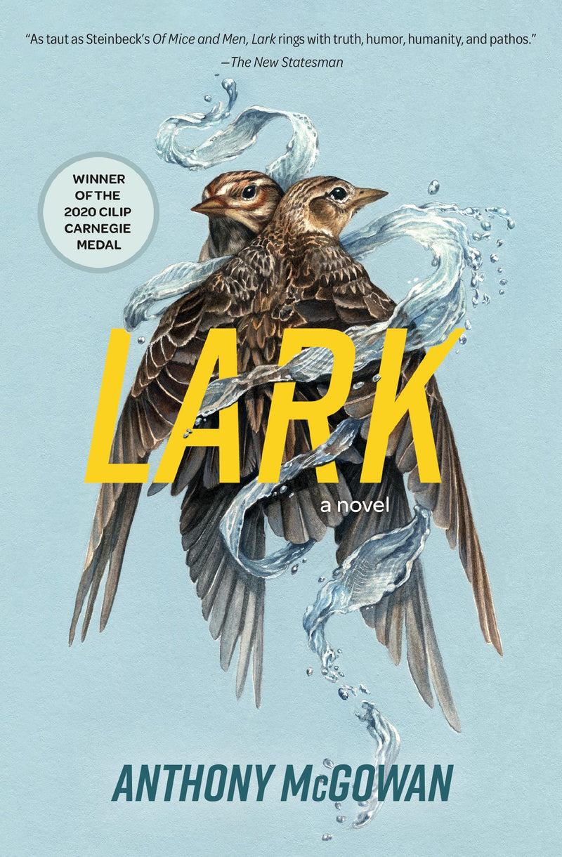 Lark: A Novel (Everyone Can Be a Reader)