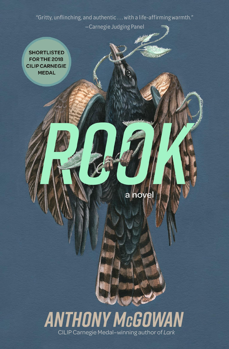 Rook: A Novel (Everyone Can Be a Reader)