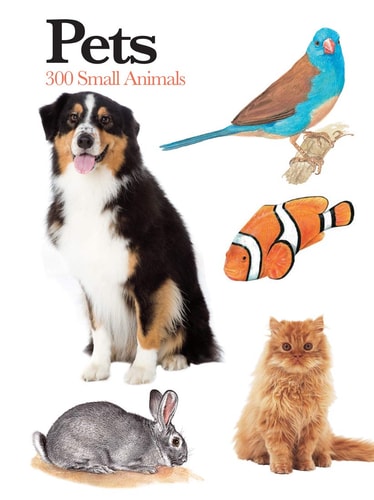 Pets 300 Small Animals