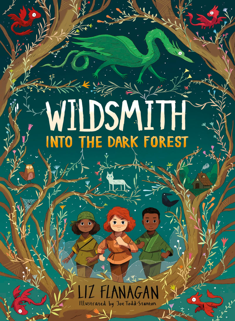 Into the Dark Forest (Wildsmith)