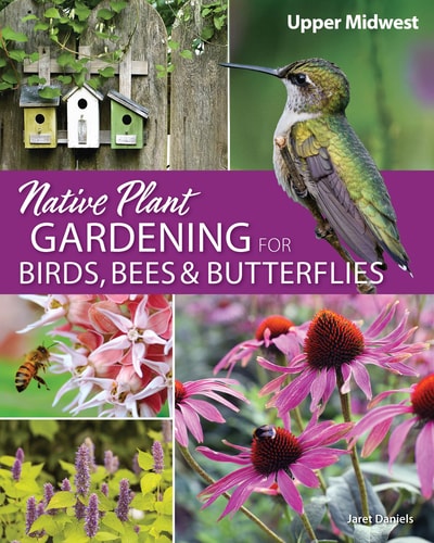 Native Plant Gardening for Birds, Bees and Butterflies: Upper Midwest