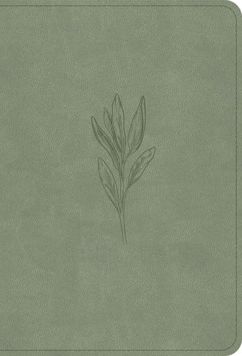 NASB Large Print Compact Reference Bible, Sage Suedesoft Leathertouch