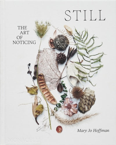 Still The Art of Noticing
