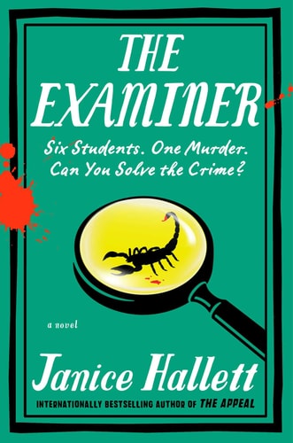 The Examiner: A Novel