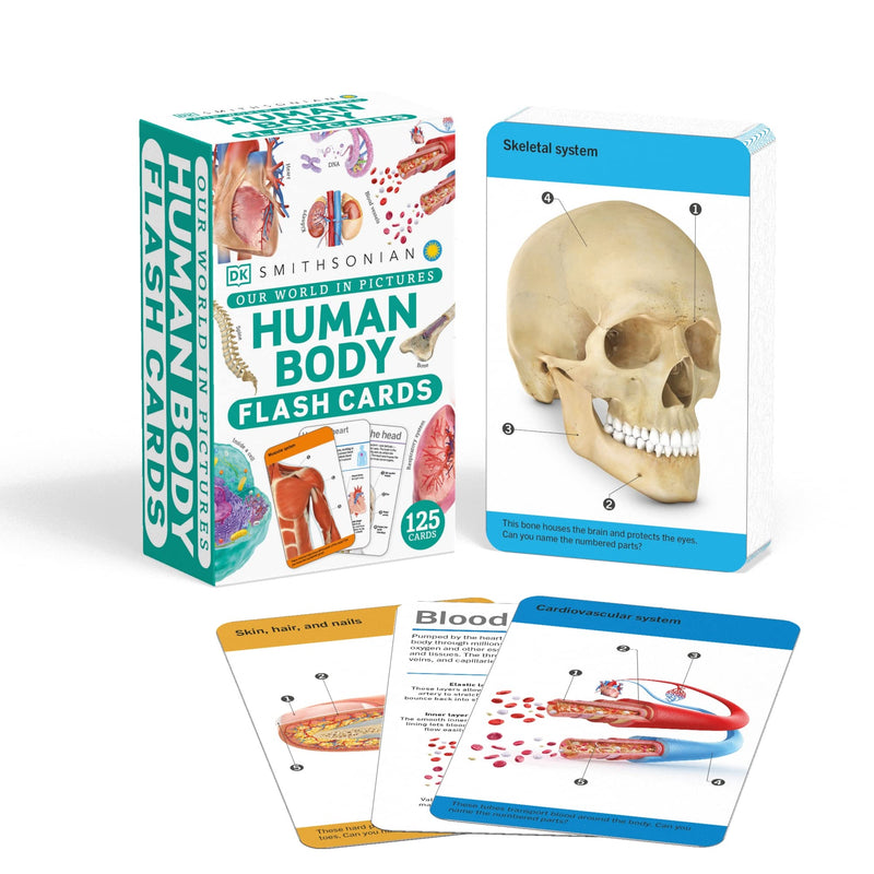 Our World in Pictures Human Body Flash Cards (DK Our World in Pictures)