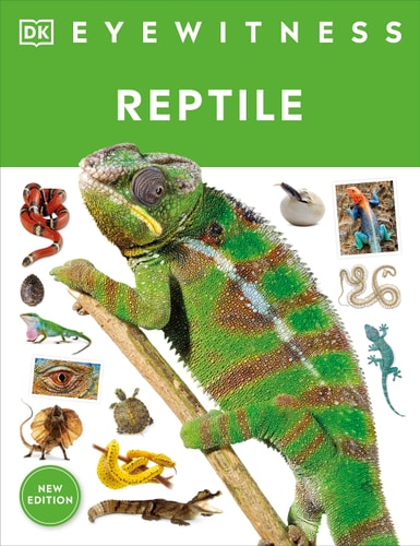 Eyewitness Reptile (DK Eyewitness)