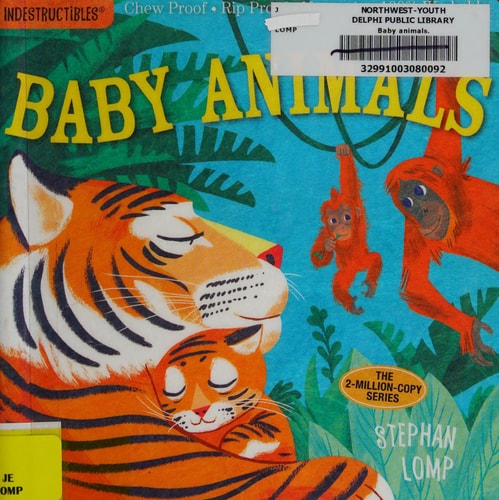 Indestructibles: Baby Animals: Chew Proof · Rip Proof · Nontoxic · 100% Washable (Book for Babies, Newborn Books, Safe to Chew)