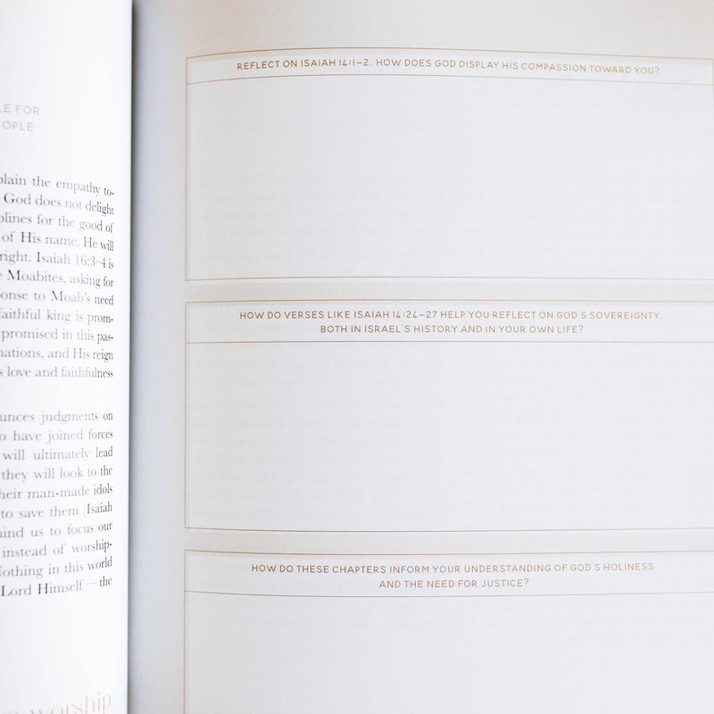 Eden to Eternity | The Chronological Story of Scripture | Volume 3