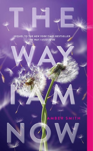 The Way I Am Now (The Way I Used to Be)