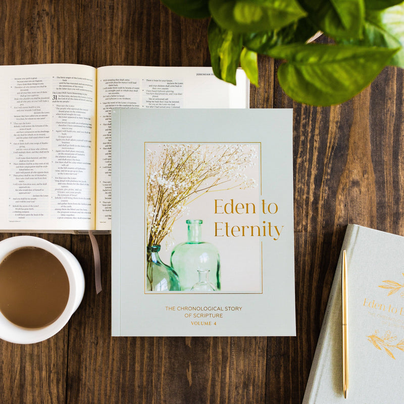 Eden to Eternity | The Chronological Story of Scripture | Volume 4