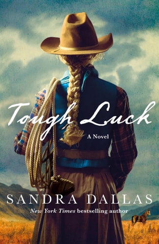 Tough Luck A Novel