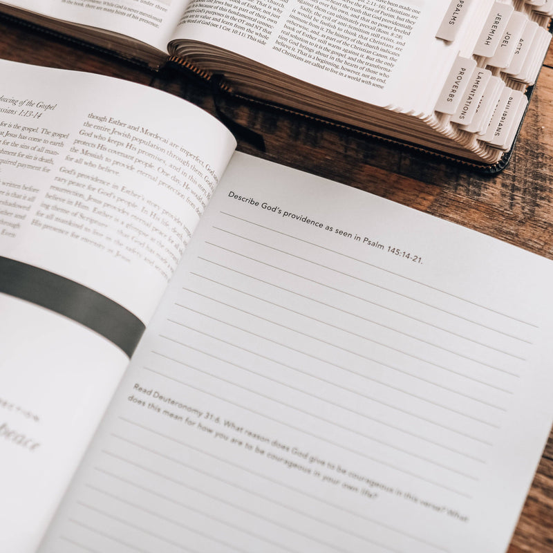 Esther | Seeing God When He Is Silent for Men