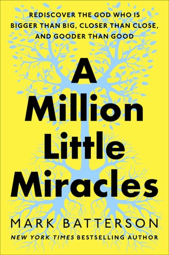 A Million Little Miracles: Rediscover the God Who Is Bigger Than Big, Closer Than Close, and Gooder Than Good