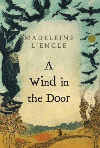A wind in the door