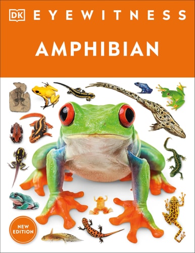 Amphibian (DK Eyewitness)