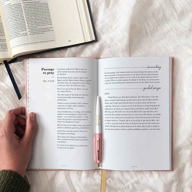 All Things New  | Praying Scripture Journal