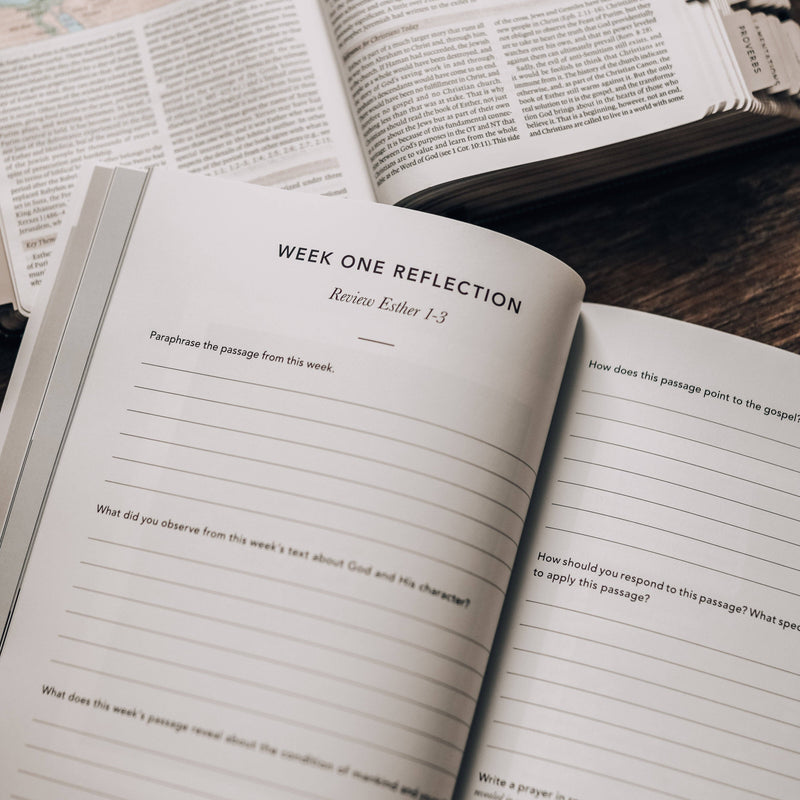 Esther | Seeing God When He Is Silent for Men