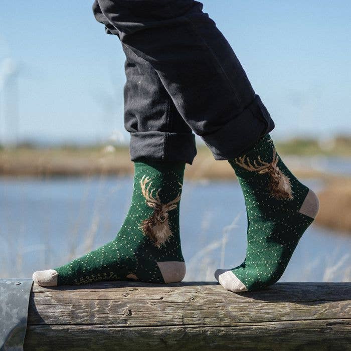 Stag Men's Sock - Protrait Of A Stag
