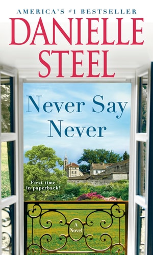 Never Say Never A Novel