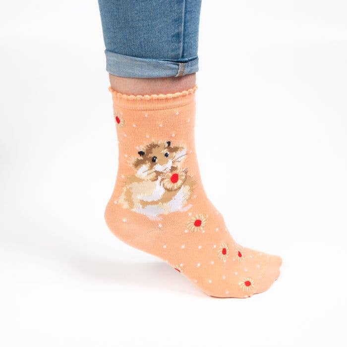 Hamster Sock - Diet Starts Tomorrow