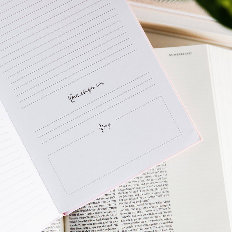 Eden to Eternity Journal | Vol. 1