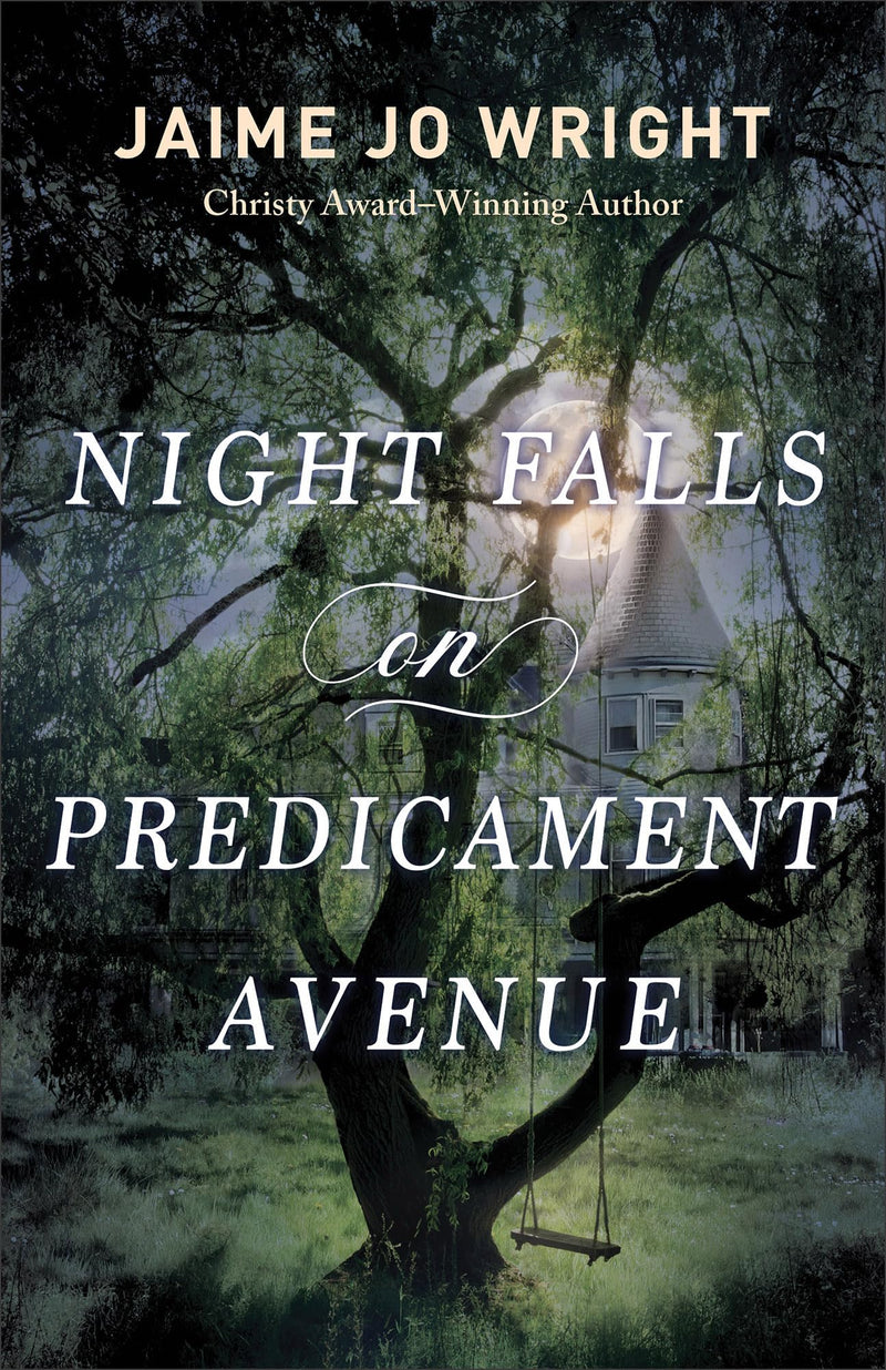 Night Falls on Predicament Avenue: (A Dual-Time Murder Mystery and Suspense Fiction Book with Clean Romance)