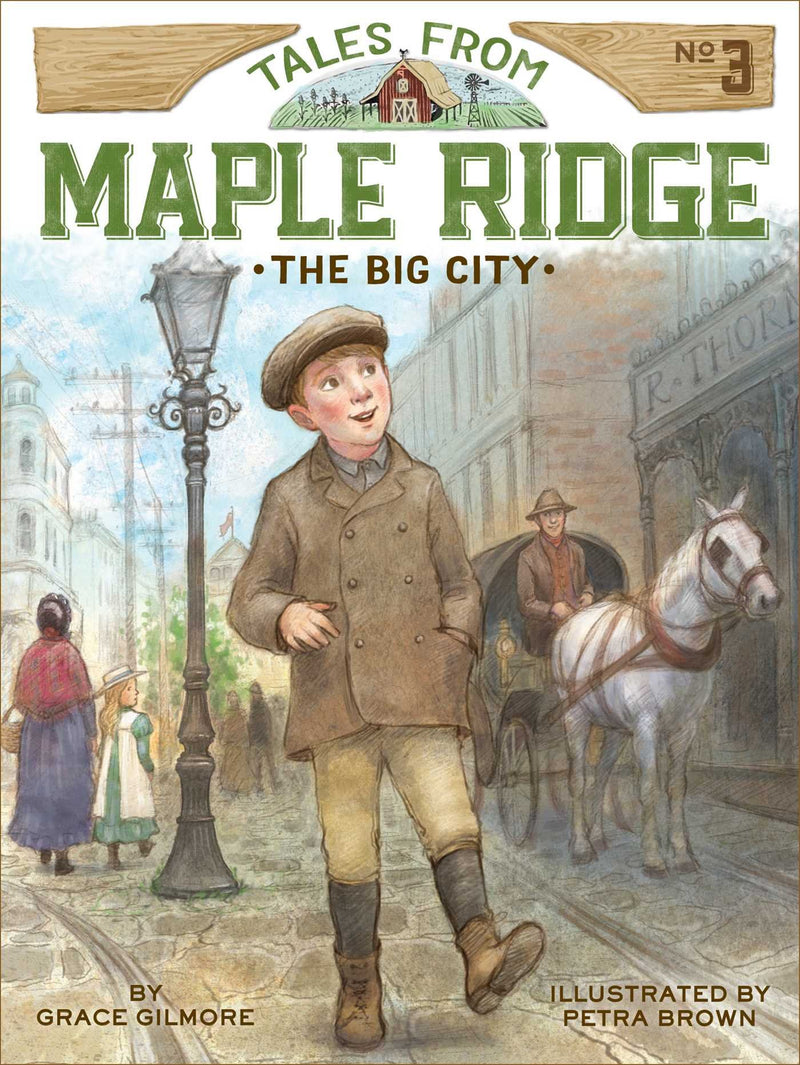 The Big City (3) (Tales from Maple Ridge)