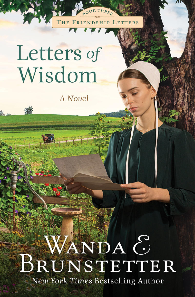 Letters of Wisdom (Friendship Letters, 3)